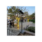 Gobo / Leko Light with Stand For Rent for $75.00
