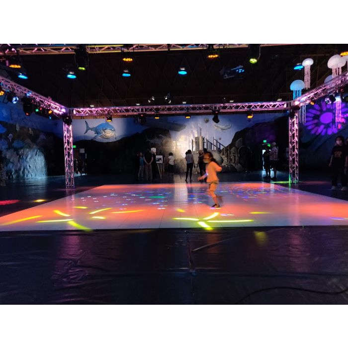 18' X 20' Dance Floor, White Vinyl Or Wood Vinyl Rental, get