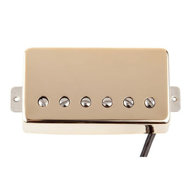 Dean - Baker Act Bridge Gold G Spaced