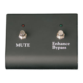 Eden 2 Button footswitch for WTX500, WTX264,WTB400