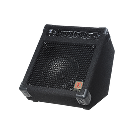 Eden multi-purpose Combo with 2 instrument inputs. 25W 1x8 speaker