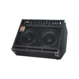 Eden multi-purpose Combo with 3 instrument inputs. 2x75W 2x10 speakers
