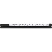 Arturia MicroLab 25-key Keyboard Compact Controller - Black