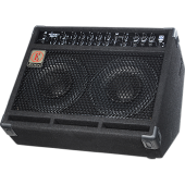 Eden multi-purpose Combo with 3 instrument inputs. 2x75W 2x10" speakers