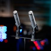 PreSonus PM-2 Small-Diaphragm Condenser Microphone - Matched Pair